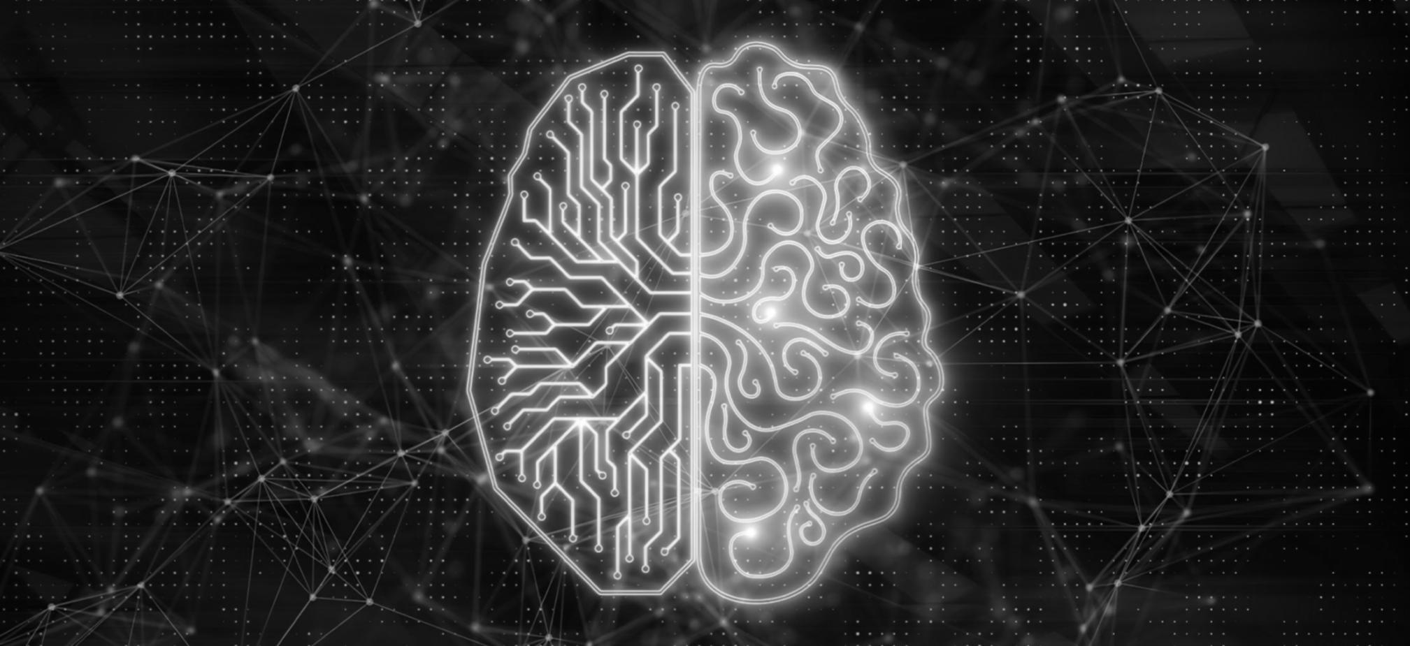 ボラティリティ分析プロセス