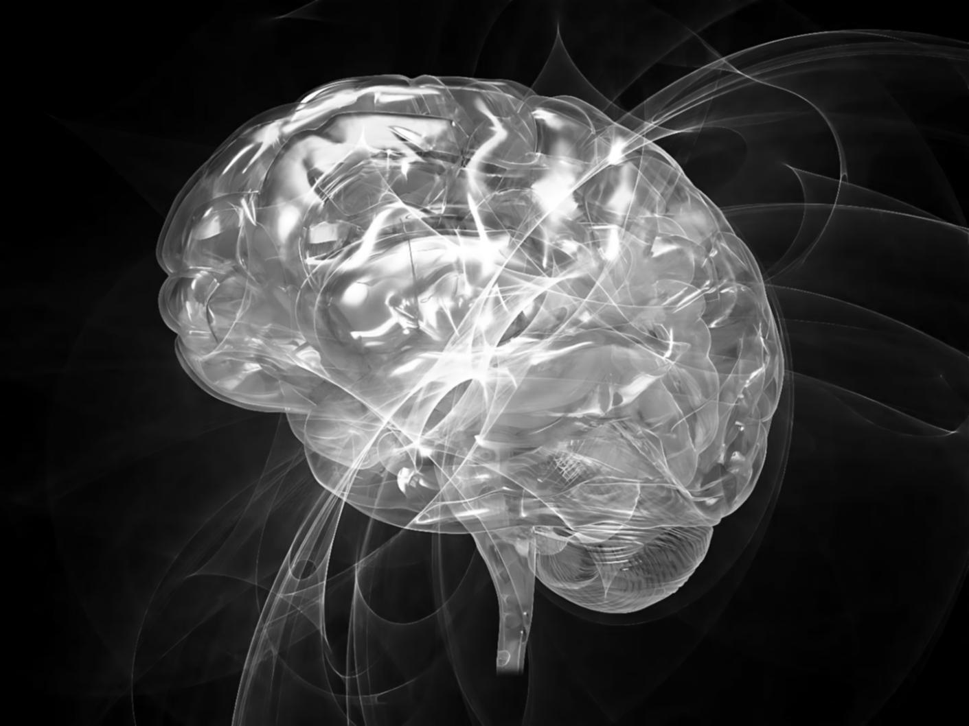 データ分析作業の様子